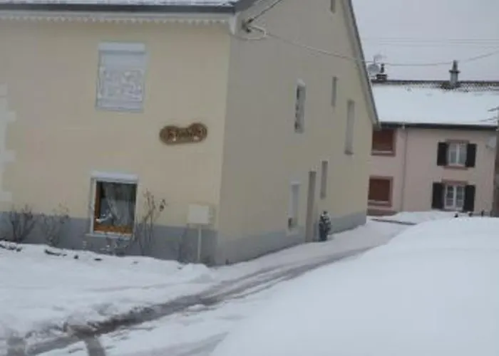 Confortable Pres De Gerardmer Avec Terrasse Et Accueil Chaleureux - Fr-1-589-676 *